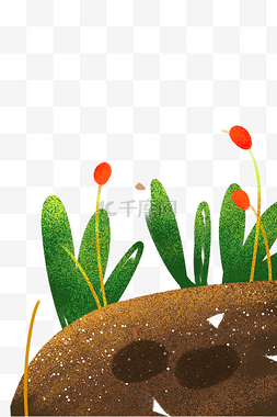 扁平夏季插画植物图片_手绘卡通底部植物元素