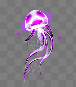 紫色海洋水母乌贼元素