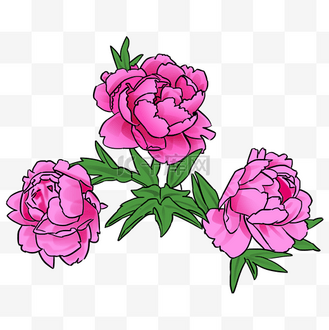 手绘牡丹红色图片素材_中国风卡通手绘牡丹花