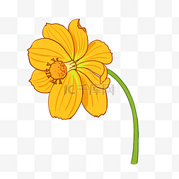 美丽花图片_手绘花卉植物黄色硫磺菊