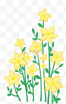 春天黄色花朵园艺花儿