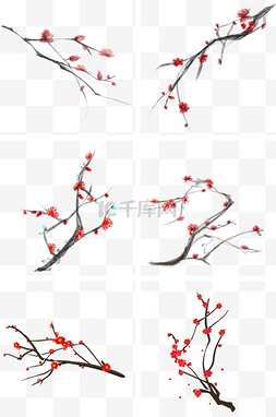 童趣花卉图片_中国风腊梅梅花手绘插画