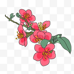 宣传粉色海报图片_中国风手绘花卉插图