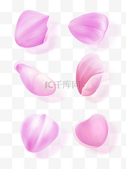 手绘花粉色花瓣元素套图