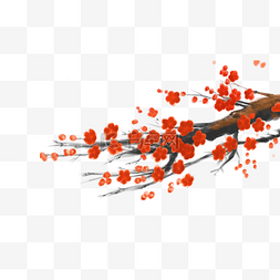 红梅花树枝手绘插画