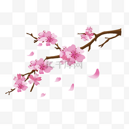 春季绽放图片_春季日本的樱花插画