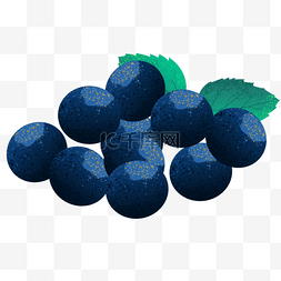 饱满多汁的蓝莓