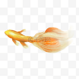 卡通的金鱼图片_手绘黄色的金鱼免抠图