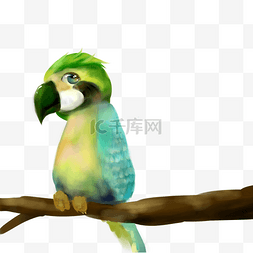 手绘绿色的鹦鹉站在树枝上