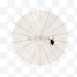 蜘蛛昆虫图片_网络蜘蛛在线看守