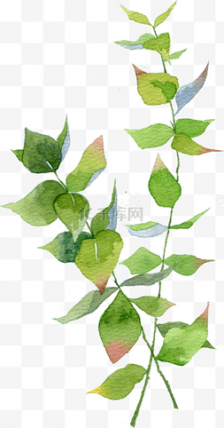 树枝枝条树叶图片_绿叶蓝色叶子水彩树叶水彩植物