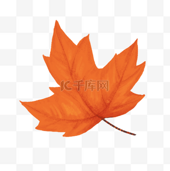 楓葉圖 楓樹紅楓楓葉-插圖素材[77282901] - PIXTA圖庫