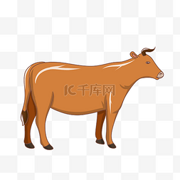 手绘棕色的牛插画