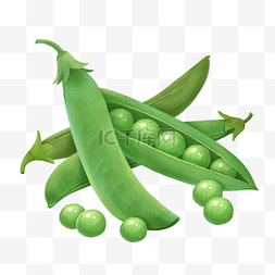 瓜果蔬菜低纹图片_手绘豌豆绿色蔬菜