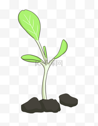 手绘发芽小幼苗