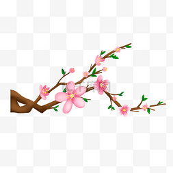 粉色花朵树枝插画