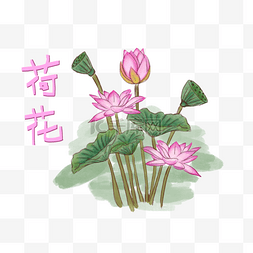 卡通清新水彩花卉图片_创意插画水彩风格荷花花卉PSD源文