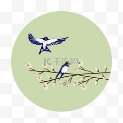 金线梨花图片_清明节降落和站在枝头上的燕子