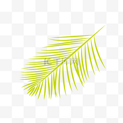 一片黄色的羽毛形状的叶子设计
