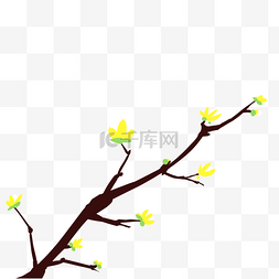 春天黄色的花枝插画