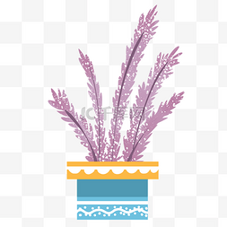 紫色絮状植物盆栽