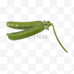 免抠绿色豌豆素材图片_豌豆（png免抠）