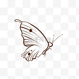 单色蝴蝶线稿