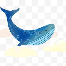 梦幻花纹鲸鱼