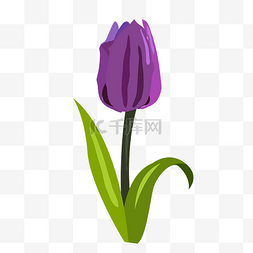 紫色花卉插画图片_手绘紫色花卉插画