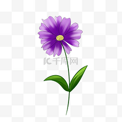 紫色树图片_紫色花植物