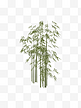 扁平简约手绘风绿色植物竹子竹林元素