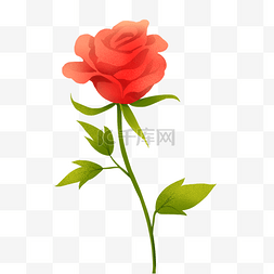 玫瑰花绿色叶子图片_情人节红色的玫瑰花