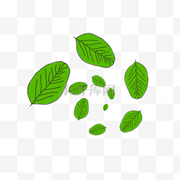 落绿色图片_飘落下来的绿色树叶排成的螺旋形