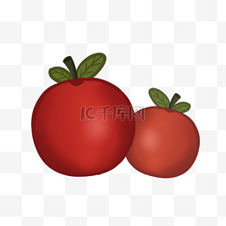 两个熟透的红苹果