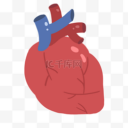 心脏器官图片_卡通红色心脏插画