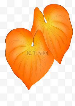 橘色的树叶图片_秋冬季黄色的叶子