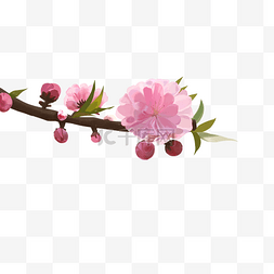 桃花中国风海报图片_卡通手绘植物插画桃花