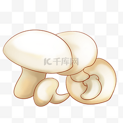白海豚插画图片_蘑菇菌类手绘插画