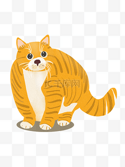 猫橘猫图片_手绘胖橘可商用元素设计
