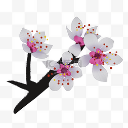 白色樱花插图装饰