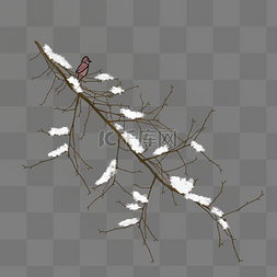 手绘冬季挂雪的树枝和麻雀