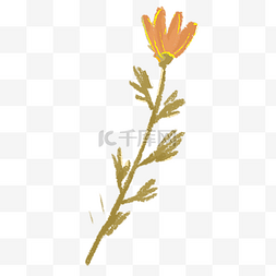 黄色纹理质感图片_黄色植物花朵元素