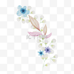 蓝色花朵植物 