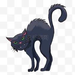 万圣节主题恐怖黑猫插画