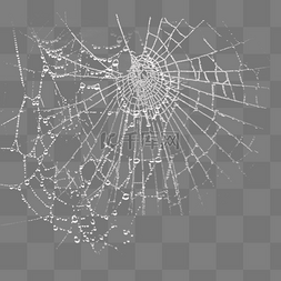 露珠露水网蜘蛛网效果设计