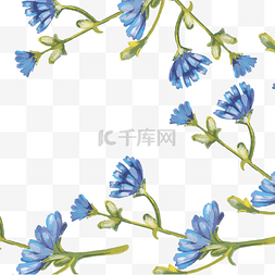 蓝色花朵矢量图下载
