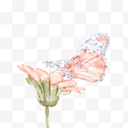 手绘水彩停在花朵上的蝴蝶