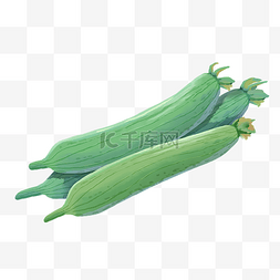 丝瓜络插画图片_绿色蔬菜手绘三根丝瓜