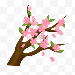 春季粉色的樱花插画