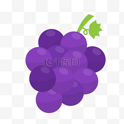 葡萄叶葡萄籽图片_水果葡萄装饰素材